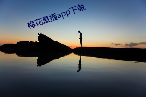 梅花直播app下載