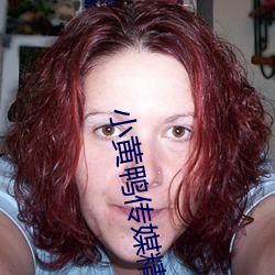 小黄(huáng)鸭(yā)传(chuán)媒(méi)精品入口