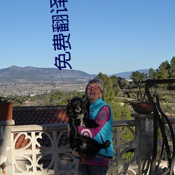 免费翻译软件
