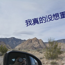 我真的沒想重生