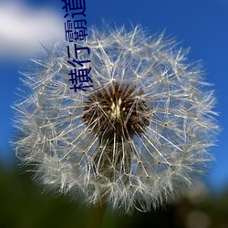 橫行霸道
