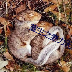 重生之妻力無窮