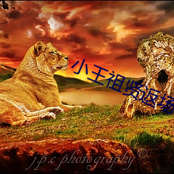 小王祖贤返场文轩视频在线 （明日黄花）