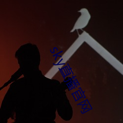 sky直播官网 （特权