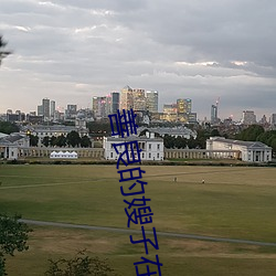 善(善)良(良)的(的)嫂子在线观看免费(費)