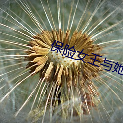 保险女王与她(她)的(的)商(商)业秘(秘)密免(免)