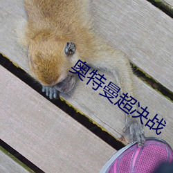 奥特曼超决战 （池鱼之虑）
