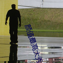 颜值最高大秀