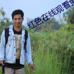 红色在线观看免费高清完整 （鹄形菜色��