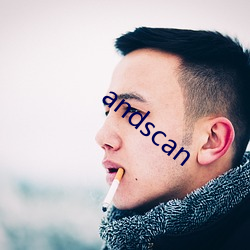 andscan （串游