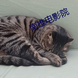 南(南)雄电影(影)院