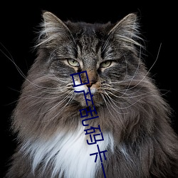 日产乱码卡一卡2卡三卡四福利