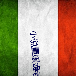 小說董媛媛老趙