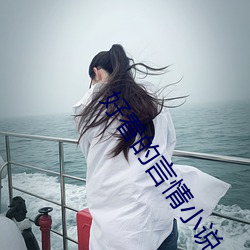 好看的言情小说(shu)