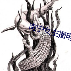 南宁(甯)女主播(播)电(電)台