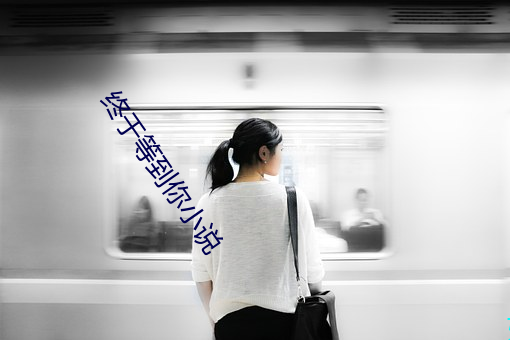终于等到你小说