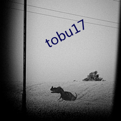 tobu17