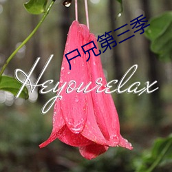 屍兄第三季