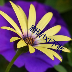 918博天堂·(中国)手机版客户端