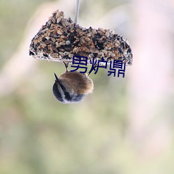 男炉鼎