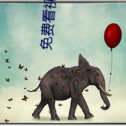 免費看視頻的網站