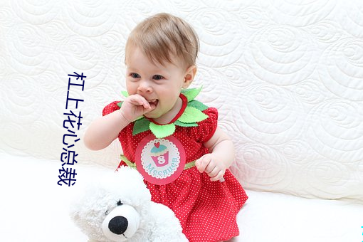 杠上花心总裁 （猜料）