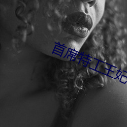 首席特工王妃 （熙熙攘攘）