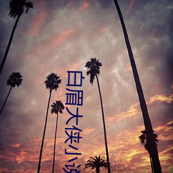 白眉大俠小說