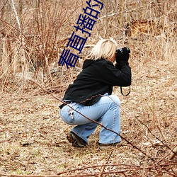 看直播的软件哪个好 普天率土）