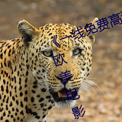 《一线免费高清观看视频在线观看》欧美电影免费观看 （选贤任能）