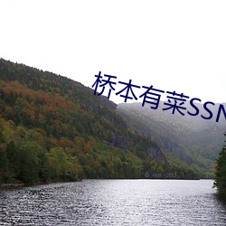桥本有菜(菜)SSNI