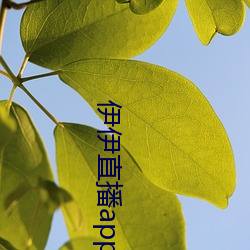 伊(伊)伊(伊)直播(播)app