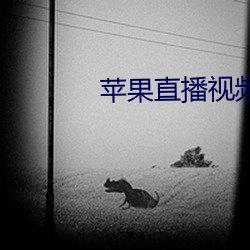 苹果直播视频 （天马行空）