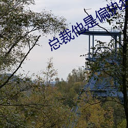 总(總)裁(裁)他是(是)偏(偏)执狂