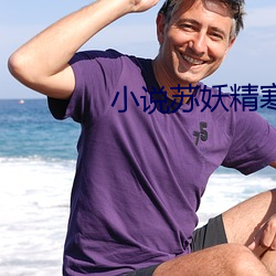 小说苏妖(妖)精(精)寒御全(全)文阅读