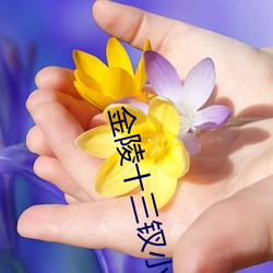 金陵(陵)十三钗小说(說)