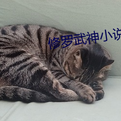 修罗武神小说