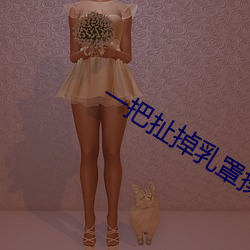 一把扯掉乳罩揉搓双乳
