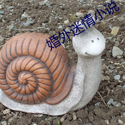 婚(hūn)外迷情小(xiǎo)说