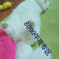 8090午夜专区 （针砭）
