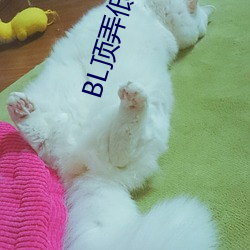 918博天堂·(中国)手机版客户端