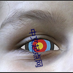 中文起点网(wǎng)