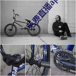免费直播app下载 （逸态横生）