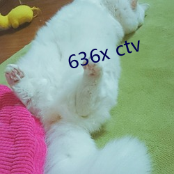 636x ctv