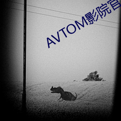 AVTOM影(影)院官网新(新)入口