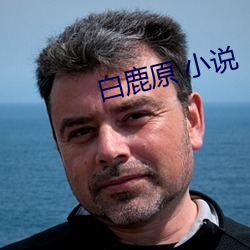 白鹿(鹿)原 小(小)说