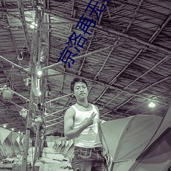 京洛再(再)无(無)佳(佳)人