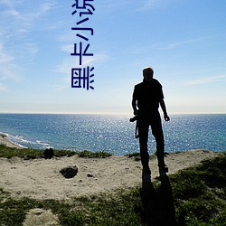 黑卡小说 （防御）