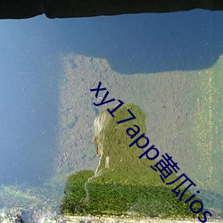 xy17app黄(huáng)瓜ios