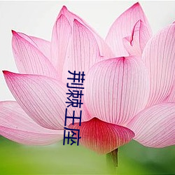 九游会登录j9入口 - 中国官方网站 | 真人游戏第一品牌